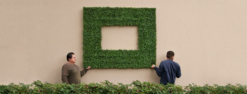 This foliage isn't just for Artificial Boxwood Hedges - these outdoor frames can improve your business too.