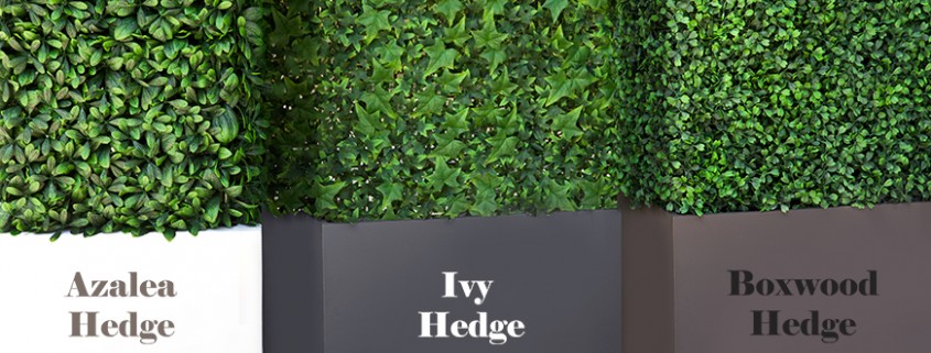 Popular Artificial Foliages: Azalea, Ivy, and Boxwood