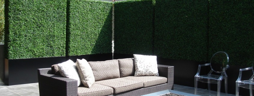 Balcony Privacy Hedges in LA