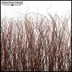 Curly Willow Twigs Screen
