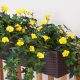 Window Box with Outdoor Artificial Morning Glory Vine - Yellow Flowers