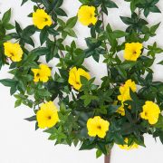 Outdoor Artificial Morning Glory Vine - Yellow Flowers